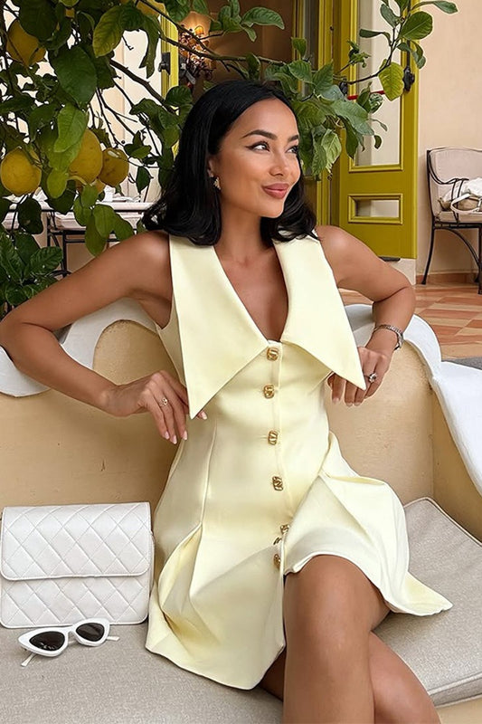 Einfaches ärmelloses Minikleid mit Reverskragen und Knopfleiste an der Taille