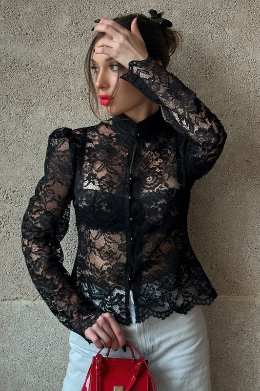Lace Puff Sleeve Stand Collar Elegant Blouse