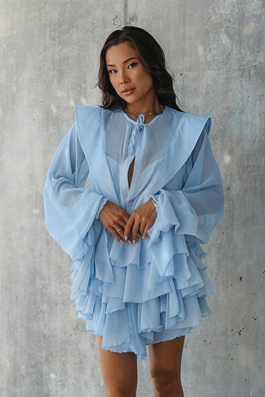 Long Sleeve Tie Mesh Sheer Tiered Mini Dress