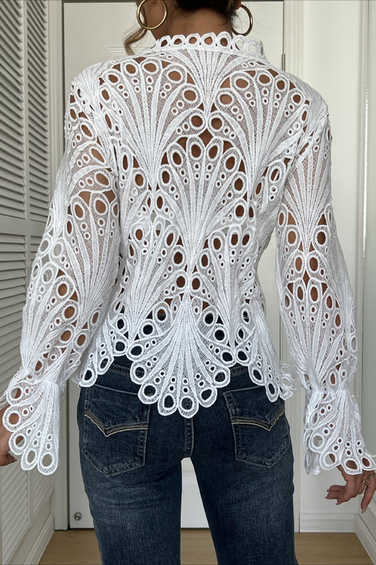 Solid Lace Hollow Out Long Sleeve Blouse