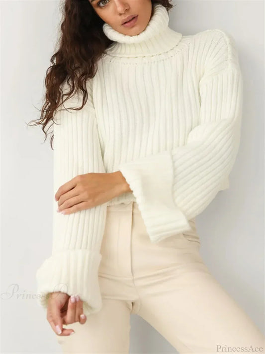 High Neck Ribbed Cropped Sweater