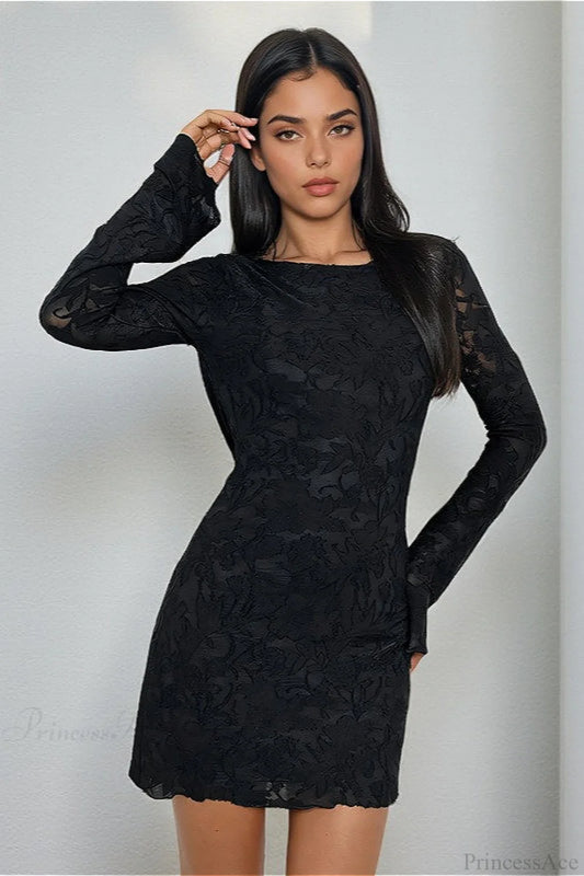 Tie Sheer Backless Bodycon Mini Dress Black / S