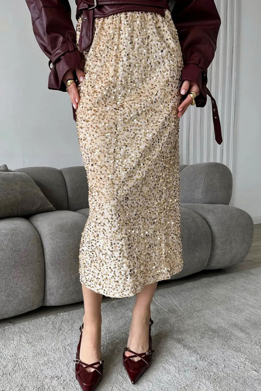 Paillettenrock, elegant und einzigartig