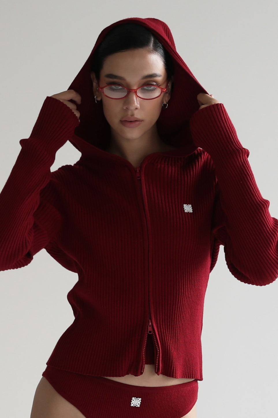 Zip Up Cropped Hooded Knit Sweater Red / S