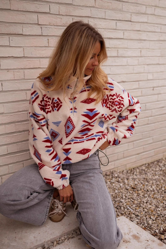 Dickes Sweatshirt mit Schildkröten-Farbblockprint