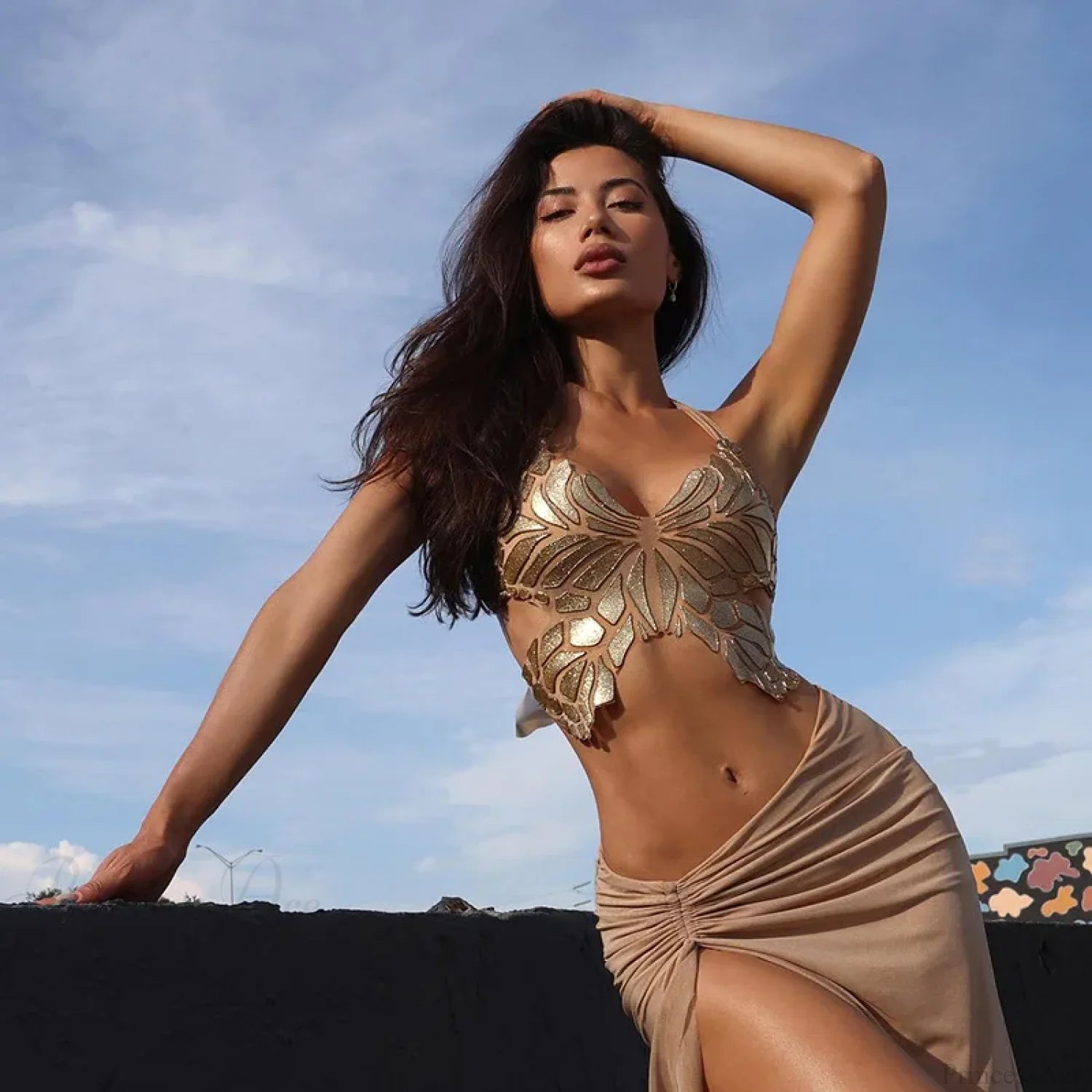 Butterfly Appliques Backless Bandage Halter Crop Top croptop-250223