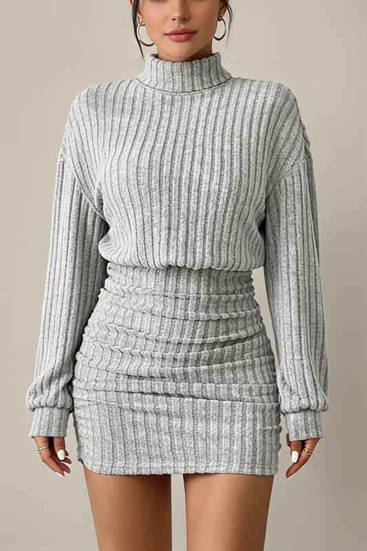 Ribbed Turtleneck Long Sleeve Mini Dress
