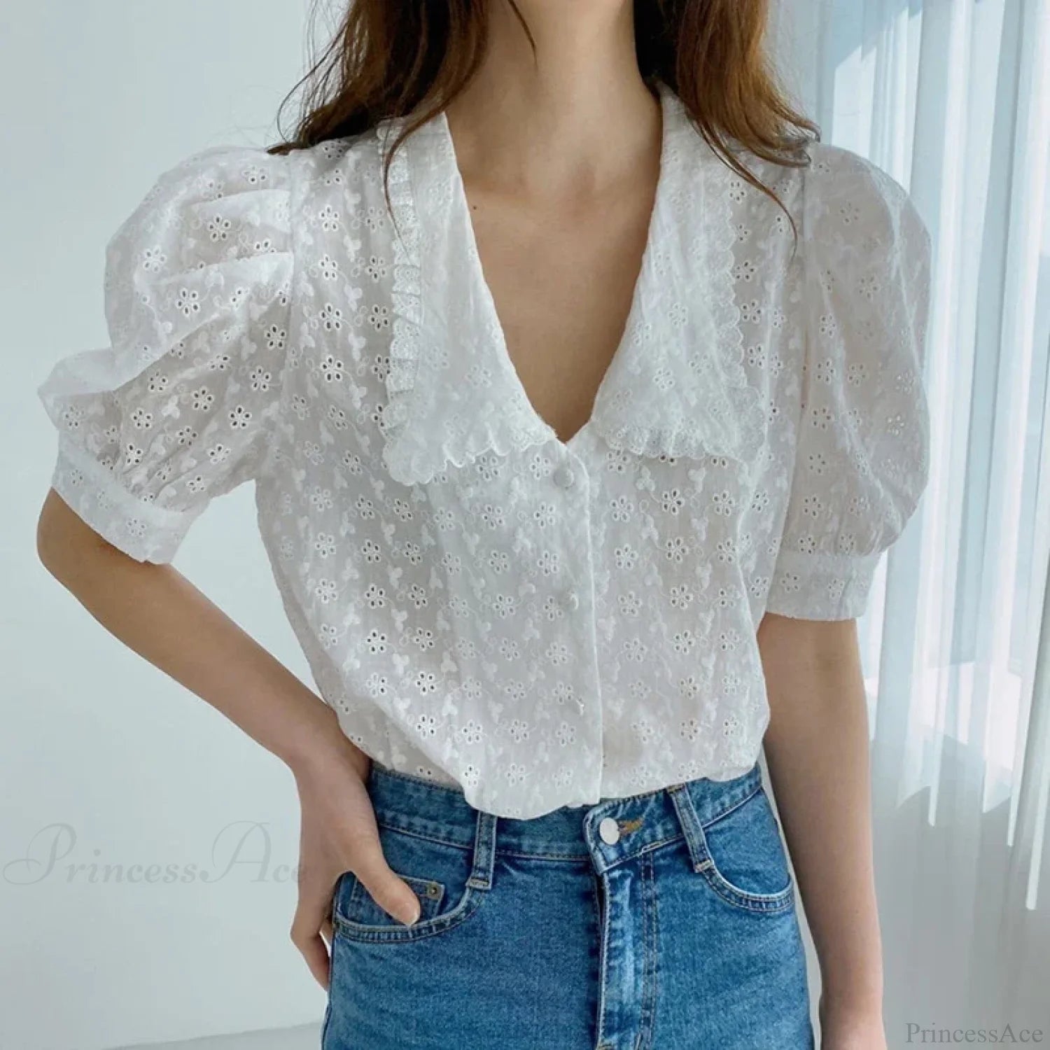 Chic Hollow Lace Puff Sleeve Peter Pan Collar Blouse blouse-250126