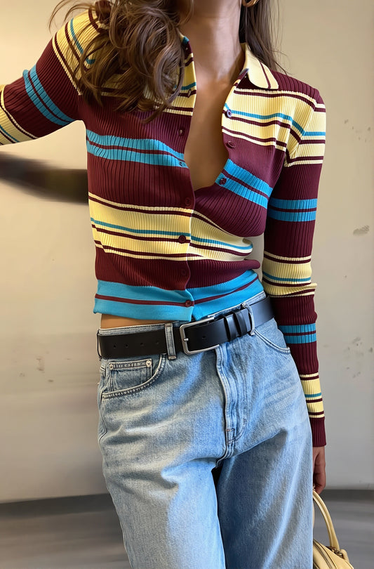 Multicolor Stripe Polo Collar Cardigan