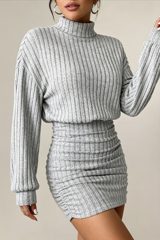 Ribbed Turtleneck Long Sleeve Mini Dress