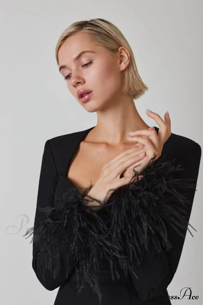 Feather Long Stylish Sleeve Bustier Dress