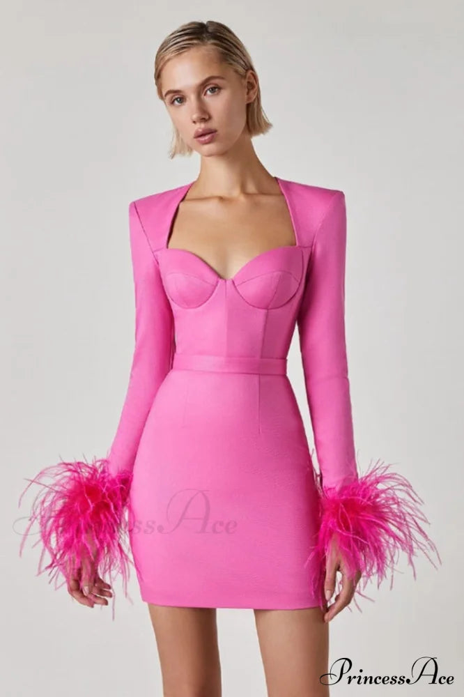 Feather Long Sleeve Bustier Dress | Dress In Beauty
