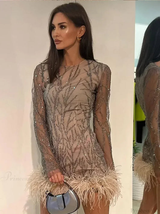 Feather Mesh Sheer Sleeve Party Dress Partydress-241208