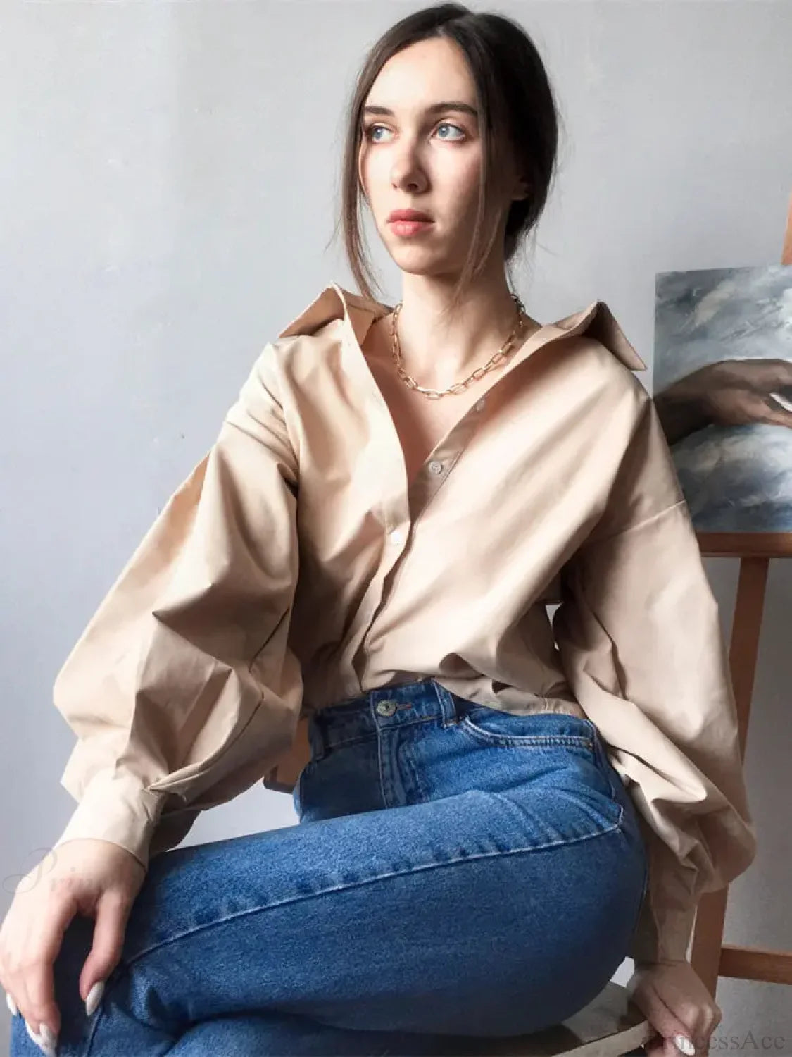 Lantern Sleeve Button Collar Blouse blouse-250223