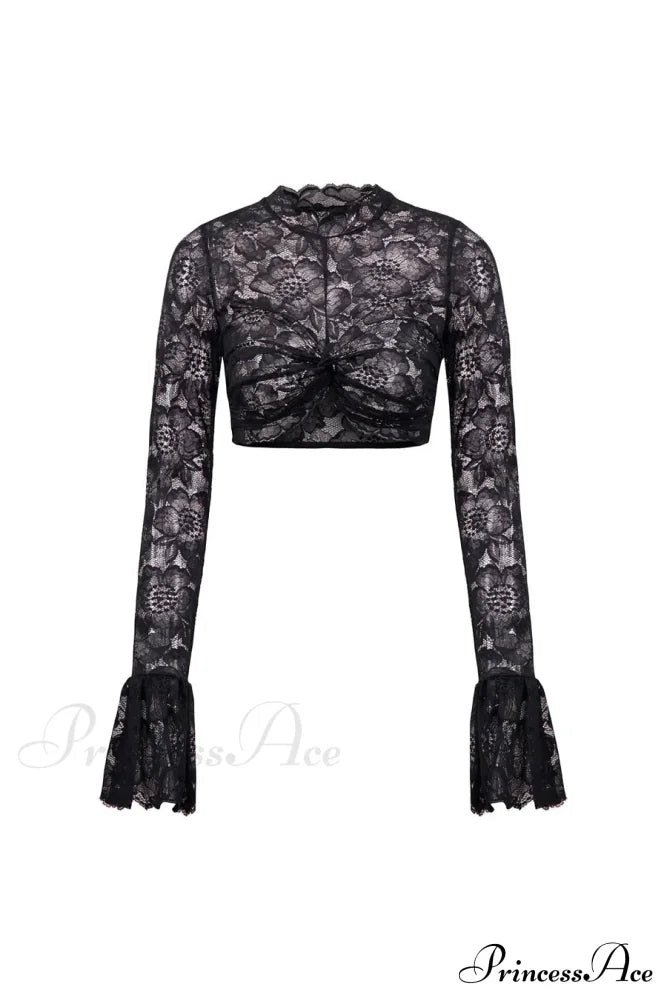Long Sleeve Lace Charming Mesh Crop Top