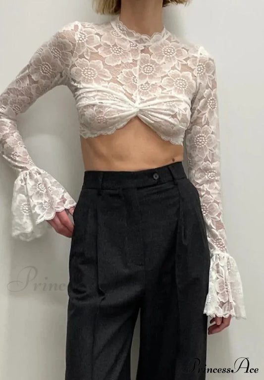 Long Sleeve Lace Mesh Crop Top Free From Label