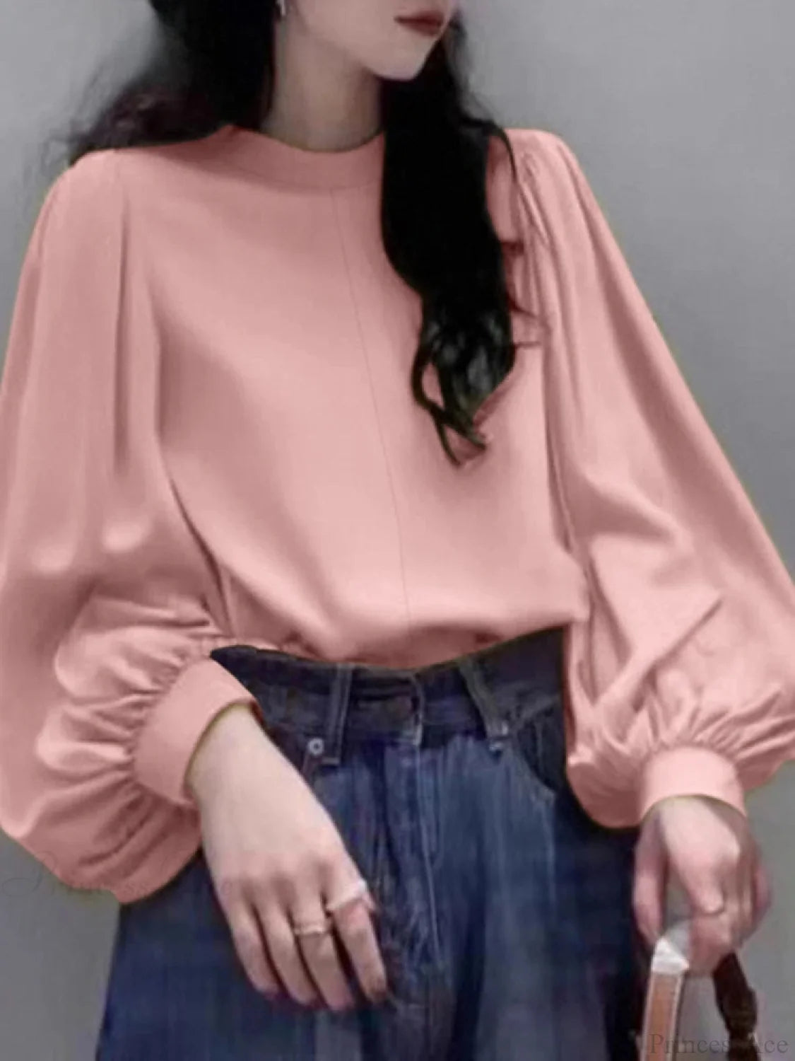 Mesh Lantern Sleeve Blouse Spring Tunic Blouse blouse-250126