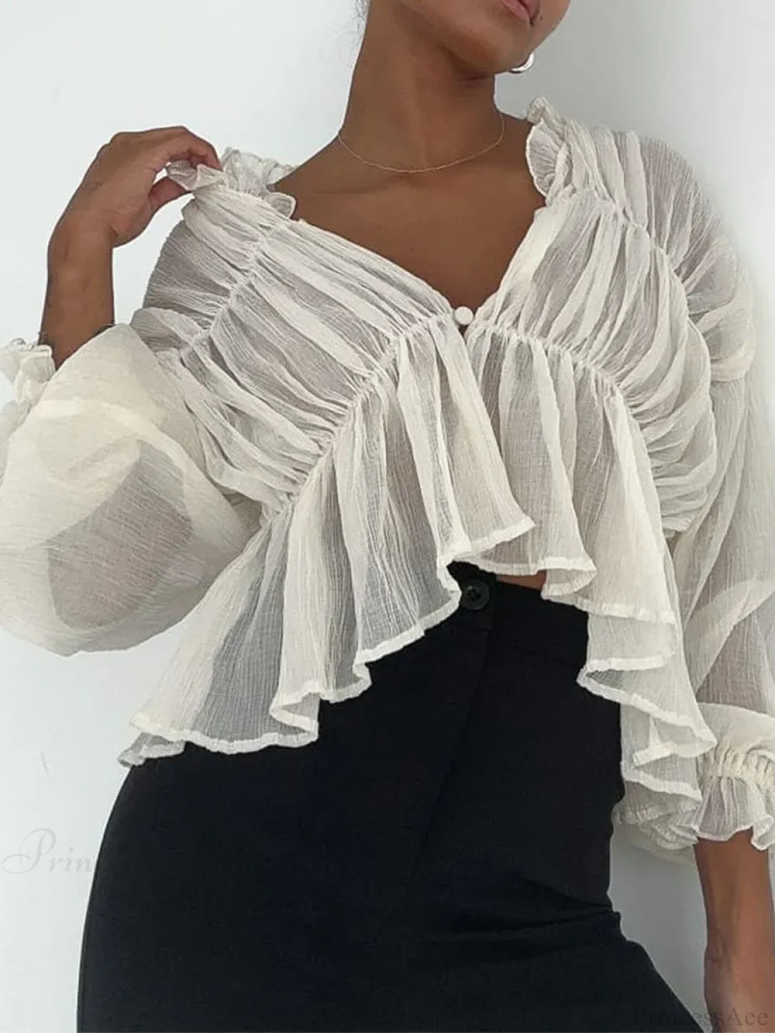 Retro Sheer Mesh Lantern Sleeve Blouse blouse-250223