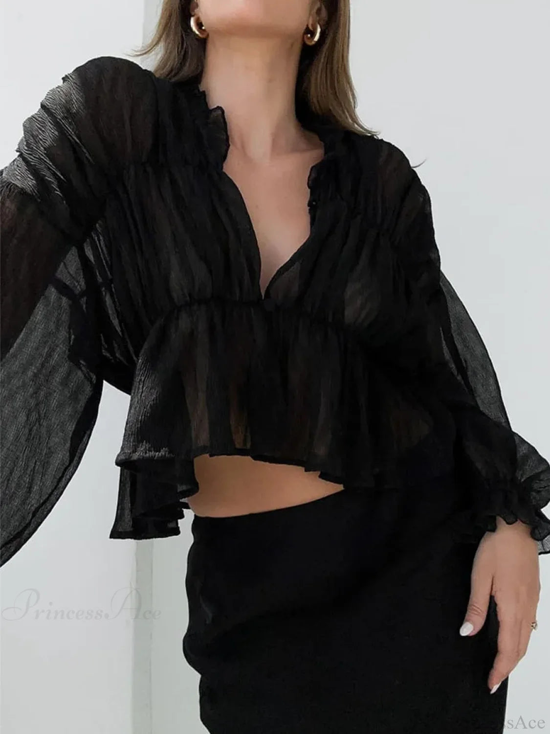 Retro Sheer Mesh Lantern Sleeve Blouse Black / S blouse-250223