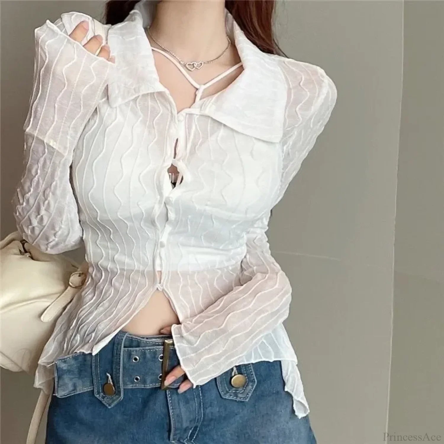 See Through Long Sleeve Turn-down Collar Blouse blouse-250126