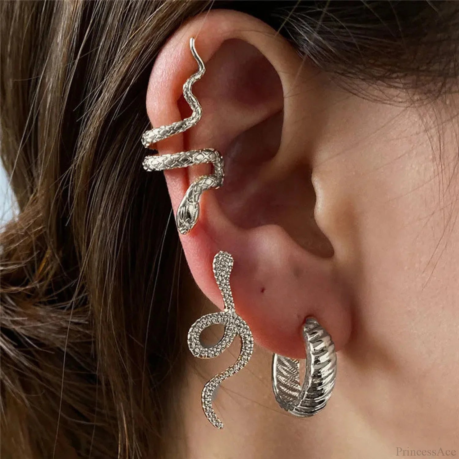 Snake Form Silver Hip Hop Stud Earring silver