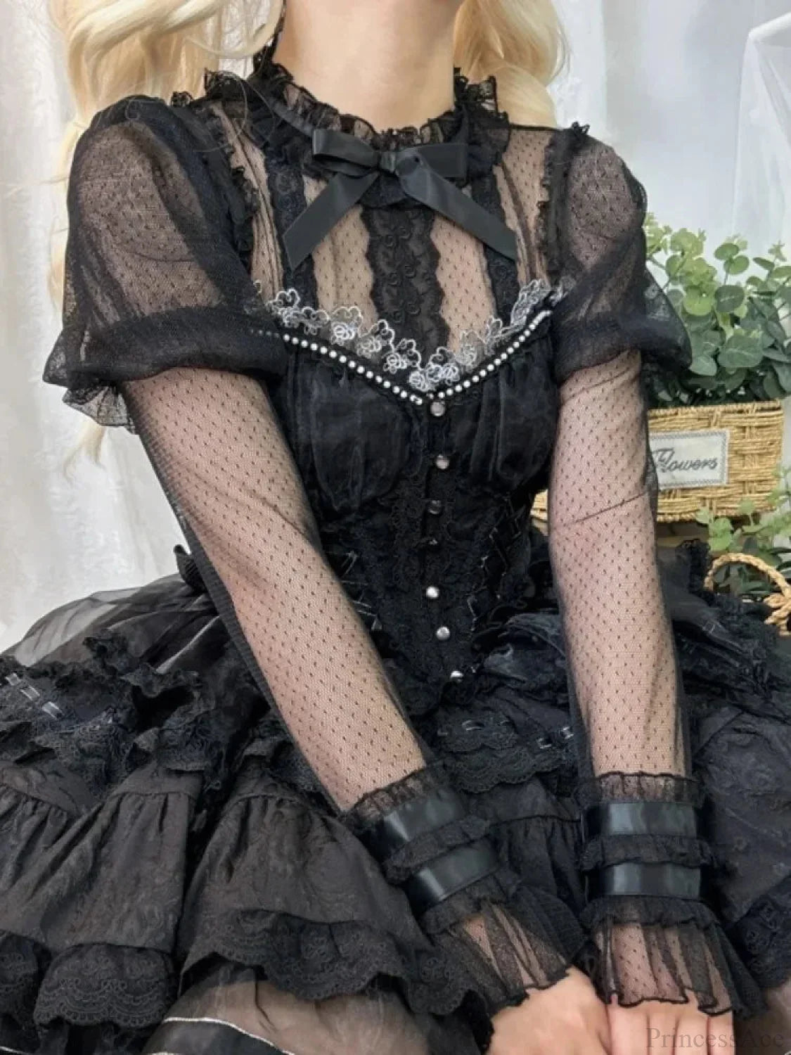 Transparent Embroidered Lace Top Black / S